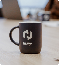 Naissus team at work and together