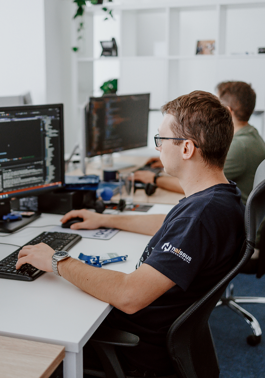 Software Engineering at Naissus Technologies